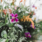 wildflowerstories-nathalie-boonekamp-bloemen-afscheid-uitvaart-rouw-gouda-reeuwijk-haastrecht-rouwwerk-bloemist